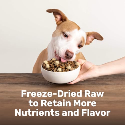Superfood Nuggets (8 Ounce (Pack of 4))