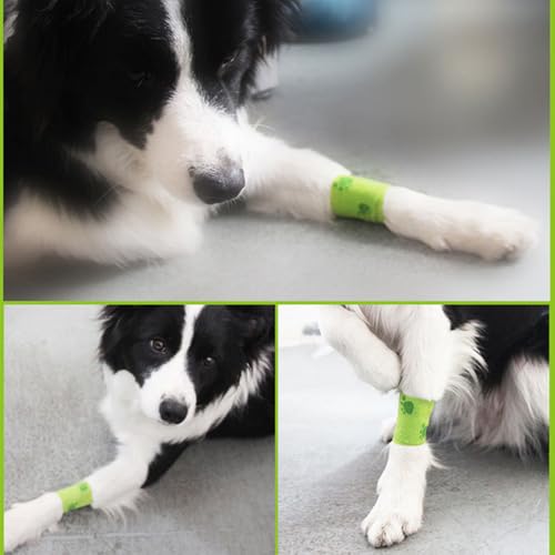 20 Rolls Dog Bandages for Wounds (2 Inch/3 Inch-20 Count Mixed)