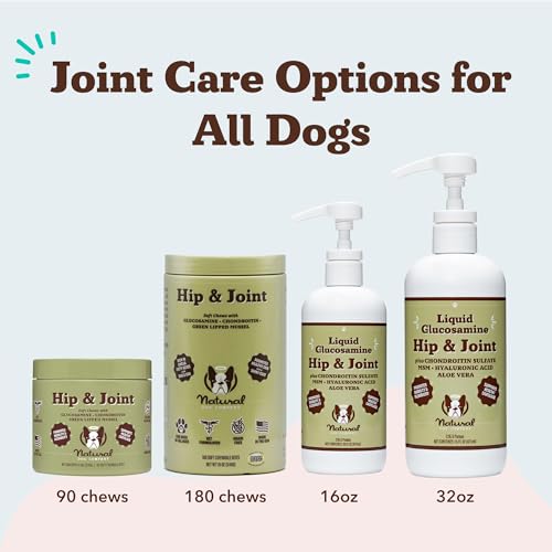 Liquid Glucosamine for Dogs (16 fl. oz / Hip and Joint)