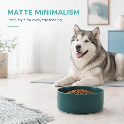 Ceramic Dog Bowls (Matte Dark Green)