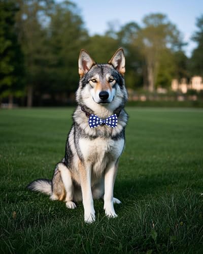 10 Pack Dot Dog Bowties for Large Dogs Slide on Collar (M/L)