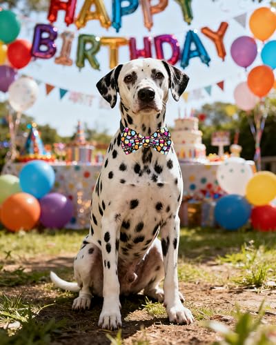 10 Pack Happy Birthday Dog Bowties for Large Dogs Sliding Collar (M/L)