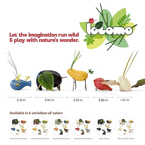 Locomo Family MC1 (Multicolored 4)