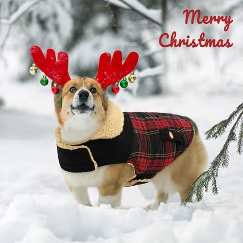 Plaid Dog Winter Coat Waterproof Cold Weather Warm Puffer Jacket (Small / Red-Black Plaid)