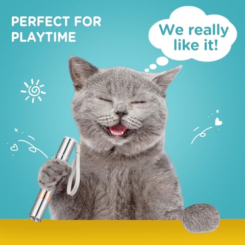 Cat Toy for Indoor (Rose Gold)