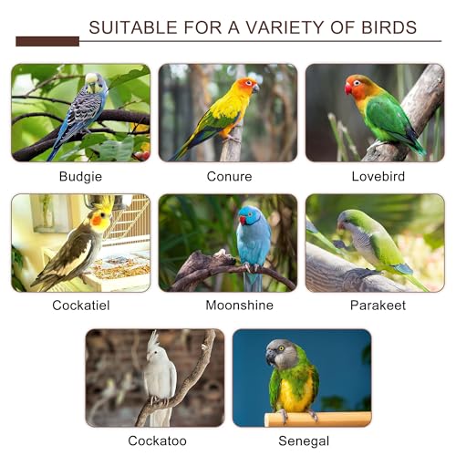 7PCS Natural Grape Wood Bird Perch Set Bird Cage Accessories Sticks (7PCS Perches Platform Swing Set)