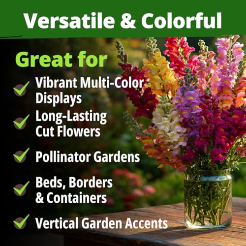 Snapdragon Seeds