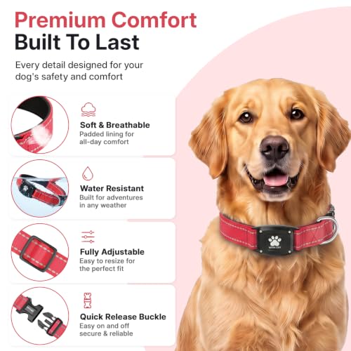 GPS Dog Collar with Tracker (Red / XS(10.5''-13.5''))