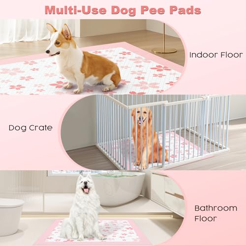 Pink Puppy Pads with Adhesive Tabs Disposable Pee Pads 36x36in 100Ct (36x36in | 100Ct-Pink)