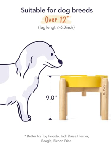 Ceramic Slow Feeder Dog Bowls Elevated (Star Yellow+Stand / L-3 Cups)