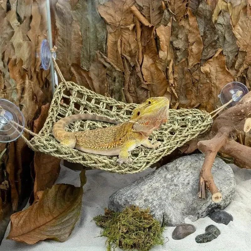 Bearded Dragon Tank Accessories Set
