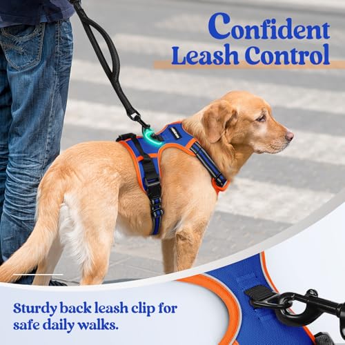 Dog Harness No Pull Medium Sized with 2 Leash Clips (Medium / Blue & Orange)