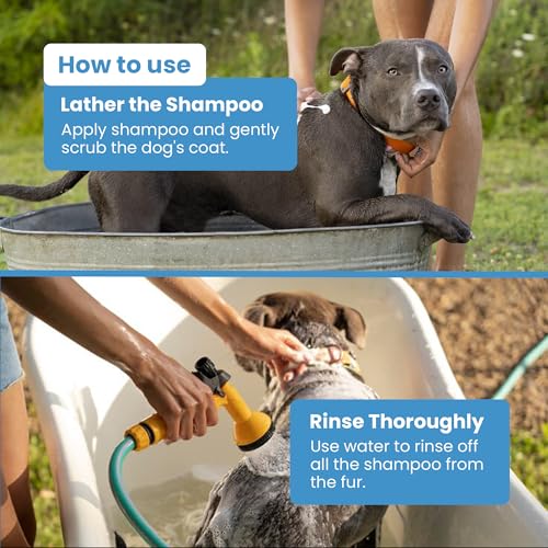 Medicated Dog Shampoo Bar for Dry