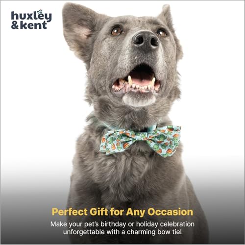 Pet Bow Tie for Dogs & Cats (Small)