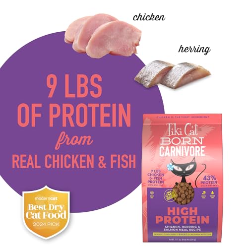 Tiki Cat Born Carnivore High Protein Dry Cat Food (11.1 Pound (Pack of 1))