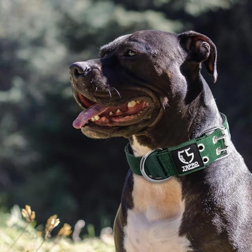 Heavy Duty Tactical Dog Collar with Patch (L/XL – Fits Neck 19.5"-23.5" / Basic Green)