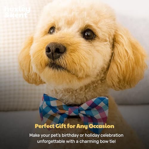 Pet Bow Tie for Dogs & Cats (Small)