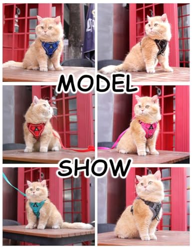 Cat Harness and Leash Set