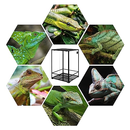 REPTIZOO 90 Gallon Reptile Terrarium 24" x 24" x 36" Large Glass Reptile Tank (24" x 24" x 36")