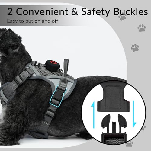 Harness and Leash Set with AirTag Holder for Large Cat Small Dog (Grey (Holder for Airtag) / XL)
