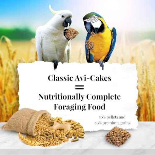 El Paso Nutri (10 Ounce (Pack of 1))