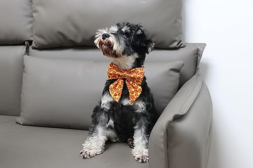 Halloween Dog Collar with Bowtie (Medium (Pack of 1) / C:Funny Pumpkin)