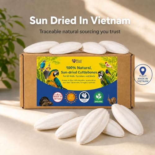 7.5 8" Cuttlebone for Birds (1 Count (Pack of 1))