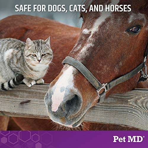 Micoseb CX Topical Shampoo for Dogs