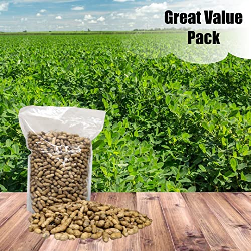 Wildlife in Shell Peanuts for Birds (8 Pound (Pack of 1) / In-Shell)