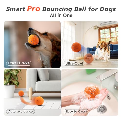 Interactive Dog Ball Toy