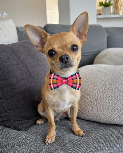 10 Pack Plaid Dog Bowties for Small Dogs Sliding on Collar (S/M)