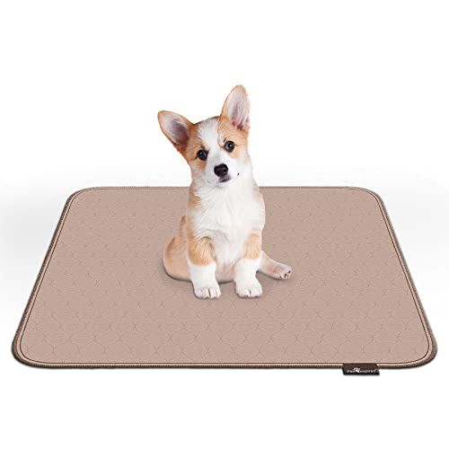 Washable Pee Pads for Dogs (32x30" (2 pack))