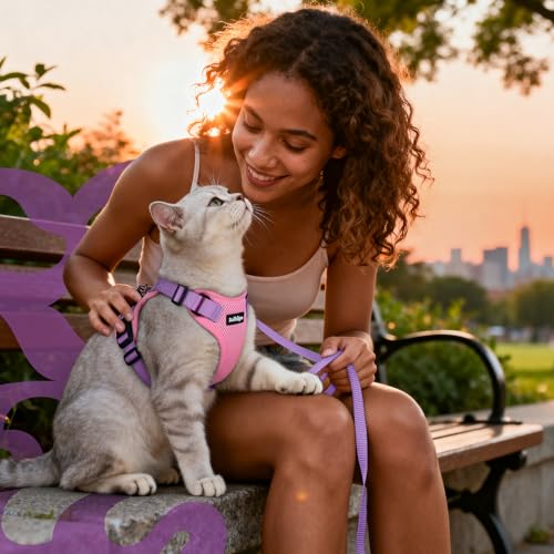 Cat Harness and Leash Set (S / Pink & Light Purple)
