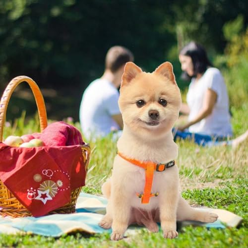 No Pull Dog Harness Small Sized Step (Orange / X-Small)