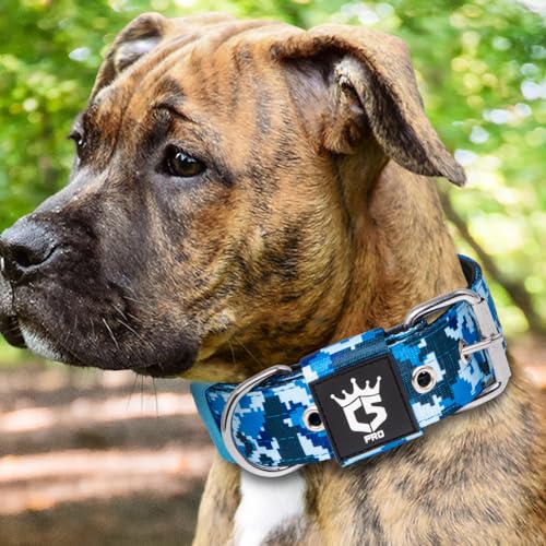 Heavy Duty Thick Dog Collar with Metal Buckle for Medium Dogs (M – Fits Neck 15.8"-18.9" / Camo Blue)