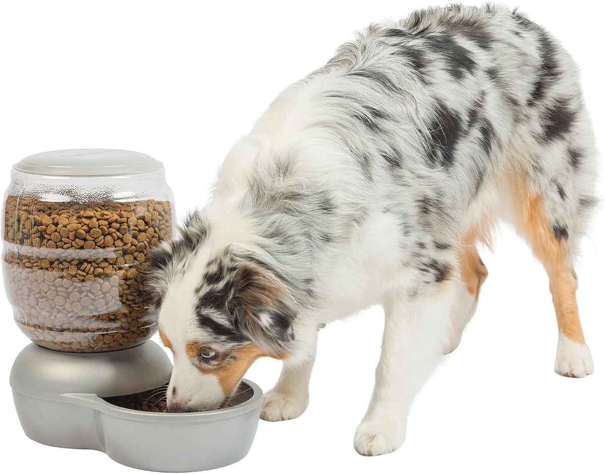 Replendish Pearl White 10 lb Dog Cat Feeder (Pearl Silver Grey / 10 LB)