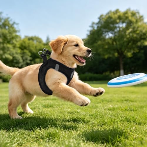 Dog Harness Collar and Leash Set No Pull for Small Medium Sized (Solid Black / M (CHEST 16"-18"))