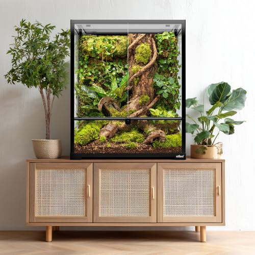 18" x 18" x 24" Glass Reptile Terrarium