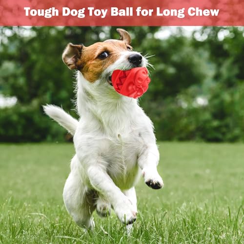 Rubber Treat Dispensing Dog Toys