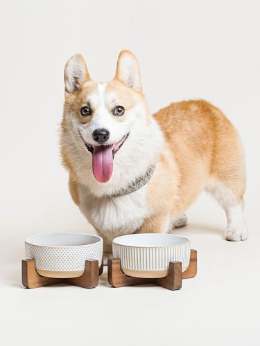 Ceramic Dog Bowls for Medium Small Dogs (M-4 Cups / Lines+Dot)