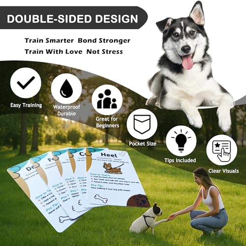 Dog Treat Pouch Bag for Training