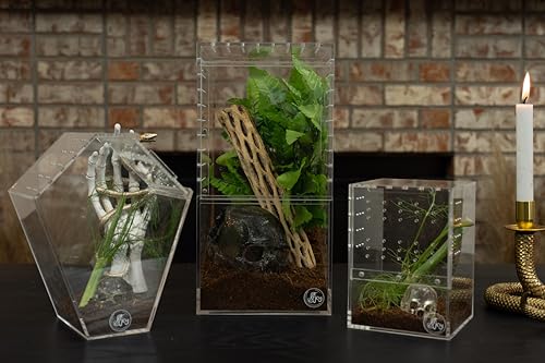 Jumping Spider Enclosure 5"x5"x7" or Tarantula Enclosure (Jumping Spider Enclosure 5"x5"x7")