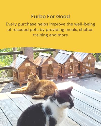 360° Cat Camera [Core Features (360° Cat Camera / No Subscription Required)
