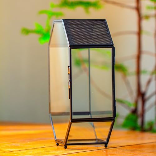 Glass Enclosure Terrarium with Mesh and Door for Spiders (6.2 x 3.1 x 8.7 inches)