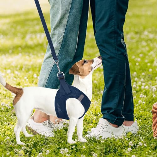 Dog Harness Collar and Leash Set No Pull for Small Medium Sized (Solid NavyBlue / S (CHEST 14.5"-16"))
