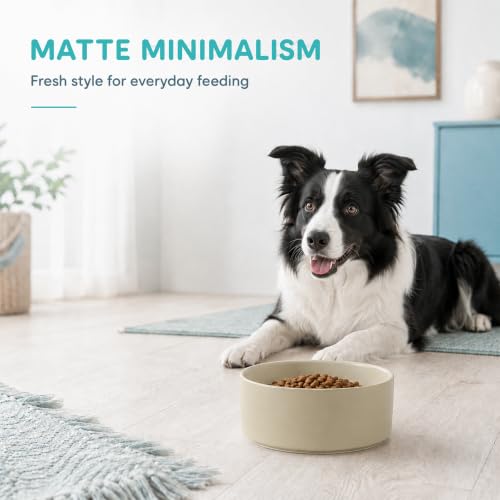 Ceramic Dog Bowls (Matte Khaki)