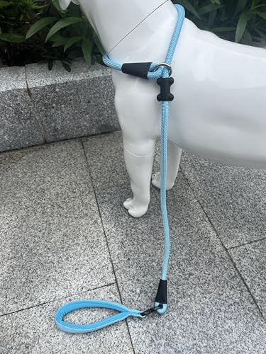 Slip Lead Dog Leash (1/2"×4ft / Light Blue)