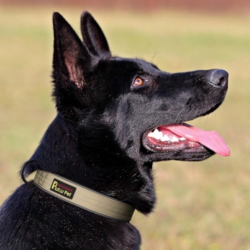Tactical Dog Collar (XL / Beige)