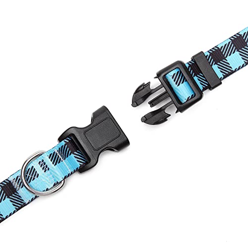 Adjustable Dog Collar (Small / Blue Plaid)
