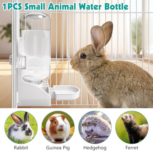 Rabbit Water Bottle (1PCS Water Dispenser, White)